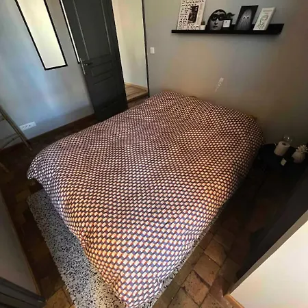 Apartamento Bel Appartement Canut Central Et Calme