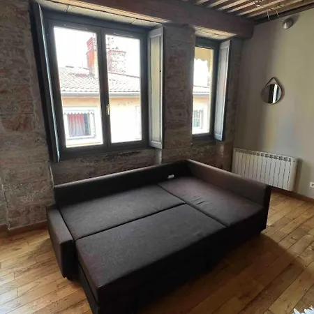 Bel Appartement Canut Central Et Calme Apartamento