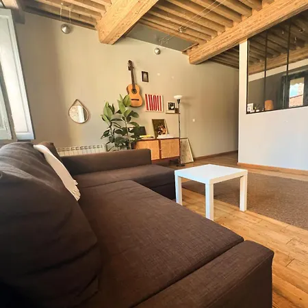 Bel Appartement Canut Central Et Calme Apartamento